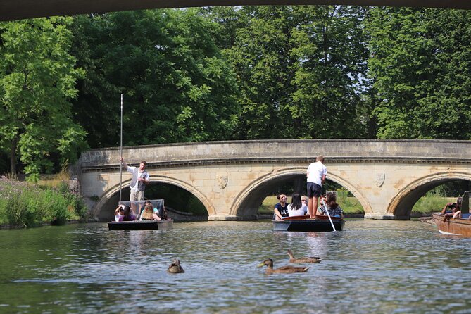 Shared Chauffeured Punt Tour - Safety and the Seating Reality: Perspex Screens + Shared Space