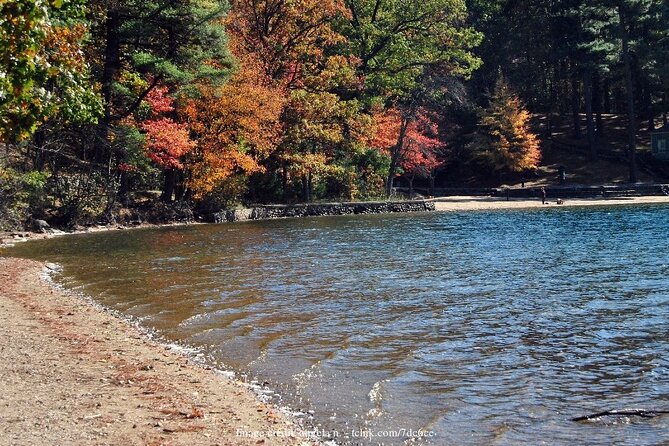 Visit Historic Concord on a Private Day Trip from Boston - From Boston to Concord: a private literary day you can actually control