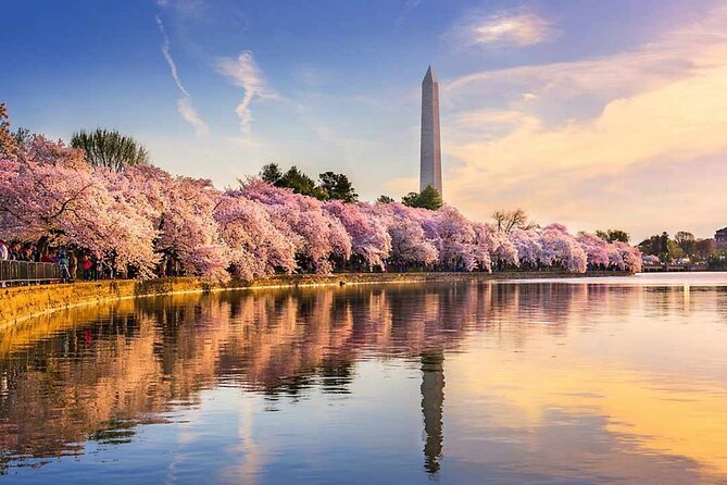 Washington D.C. Cherry Blossom,Baltimore 3-Day Tour from Boston - Key Points Worth Knowing Before You Go